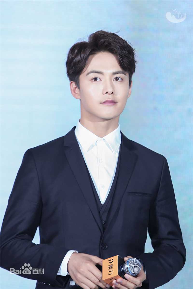 马天宇(Ray Ma)出席活动图册