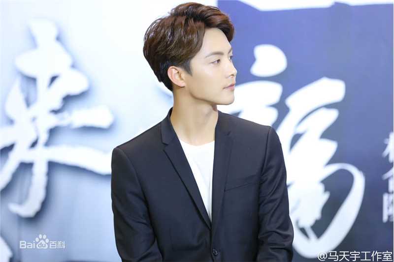 马天宇(Ray Ma)出席活动图册