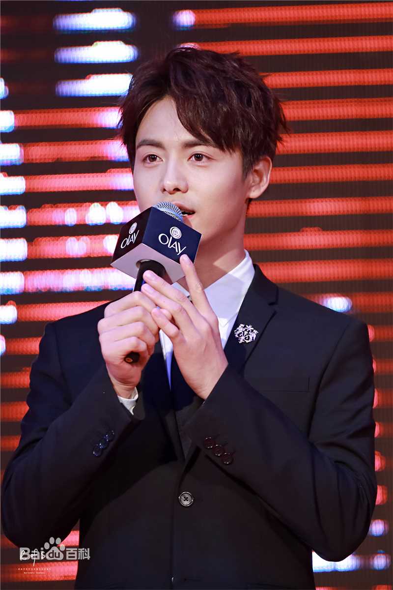 马天宇(Ray Ma)出席活动图册