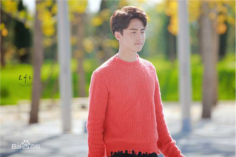 马天宇(Ray Ma)出席活动图册