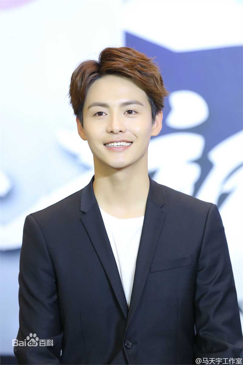 马天宇(Ray Ma)出席活动图册