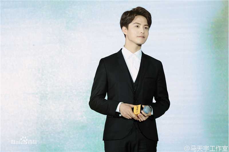 马天宇(Ray Ma)出席活动图册