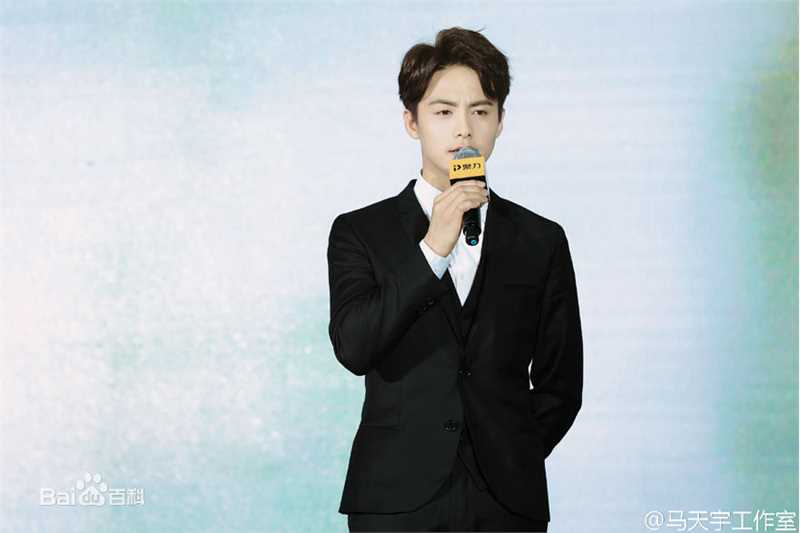 马天宇(Ray Ma)出席活动图册