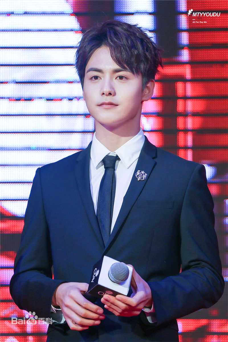马天宇(Ray Ma)出席活动图册