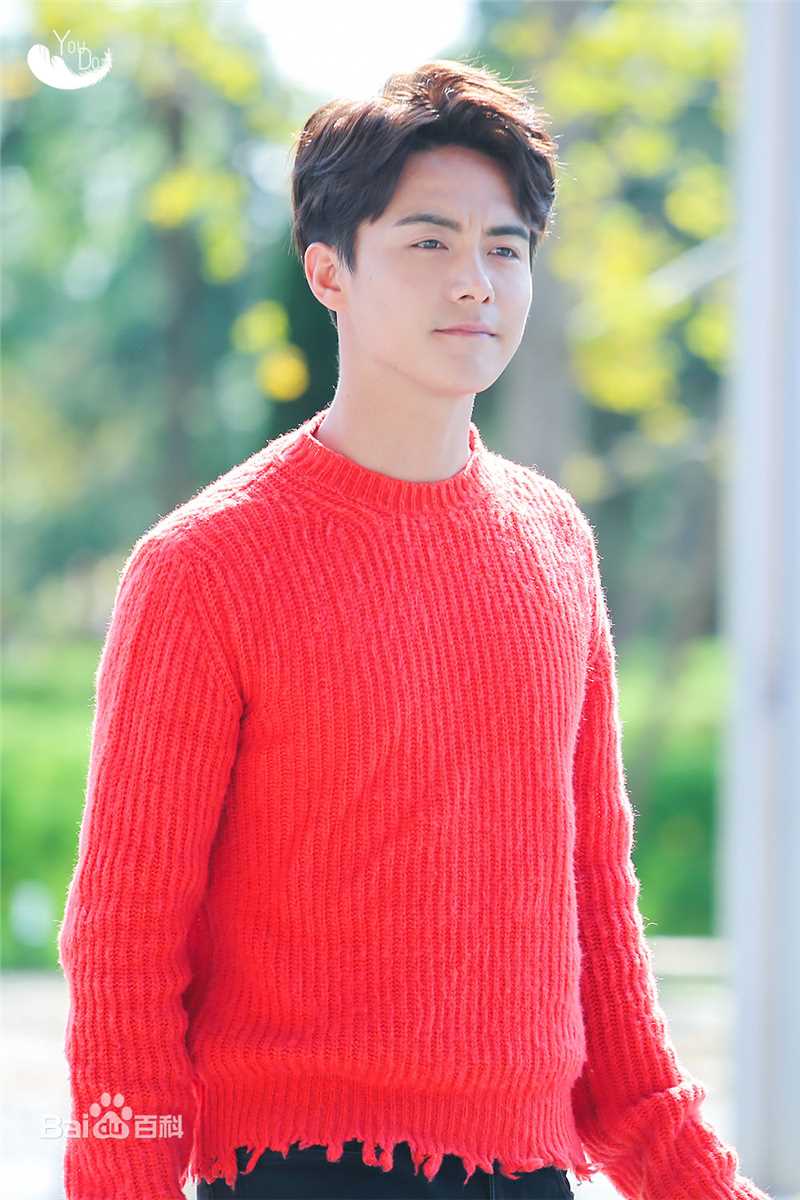 马天宇(Ray Ma)出席活动图册