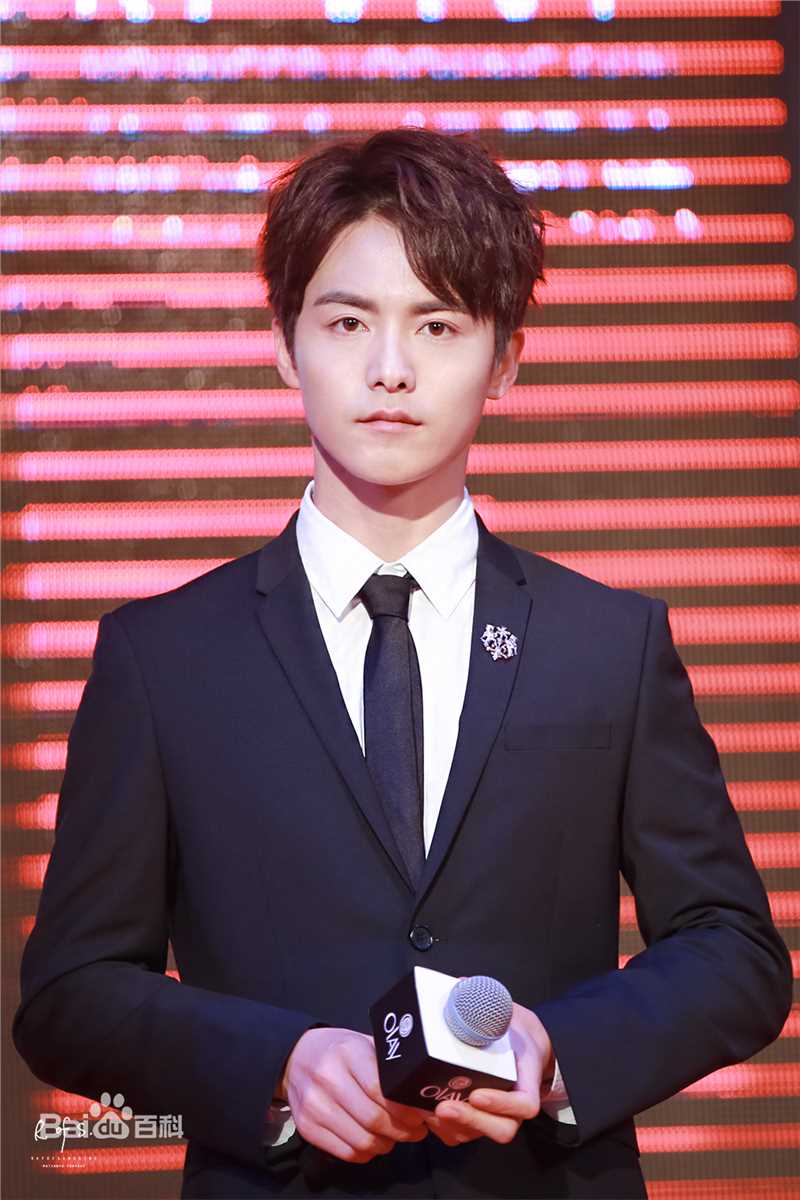 马天宇(Ray Ma)出席活动图册