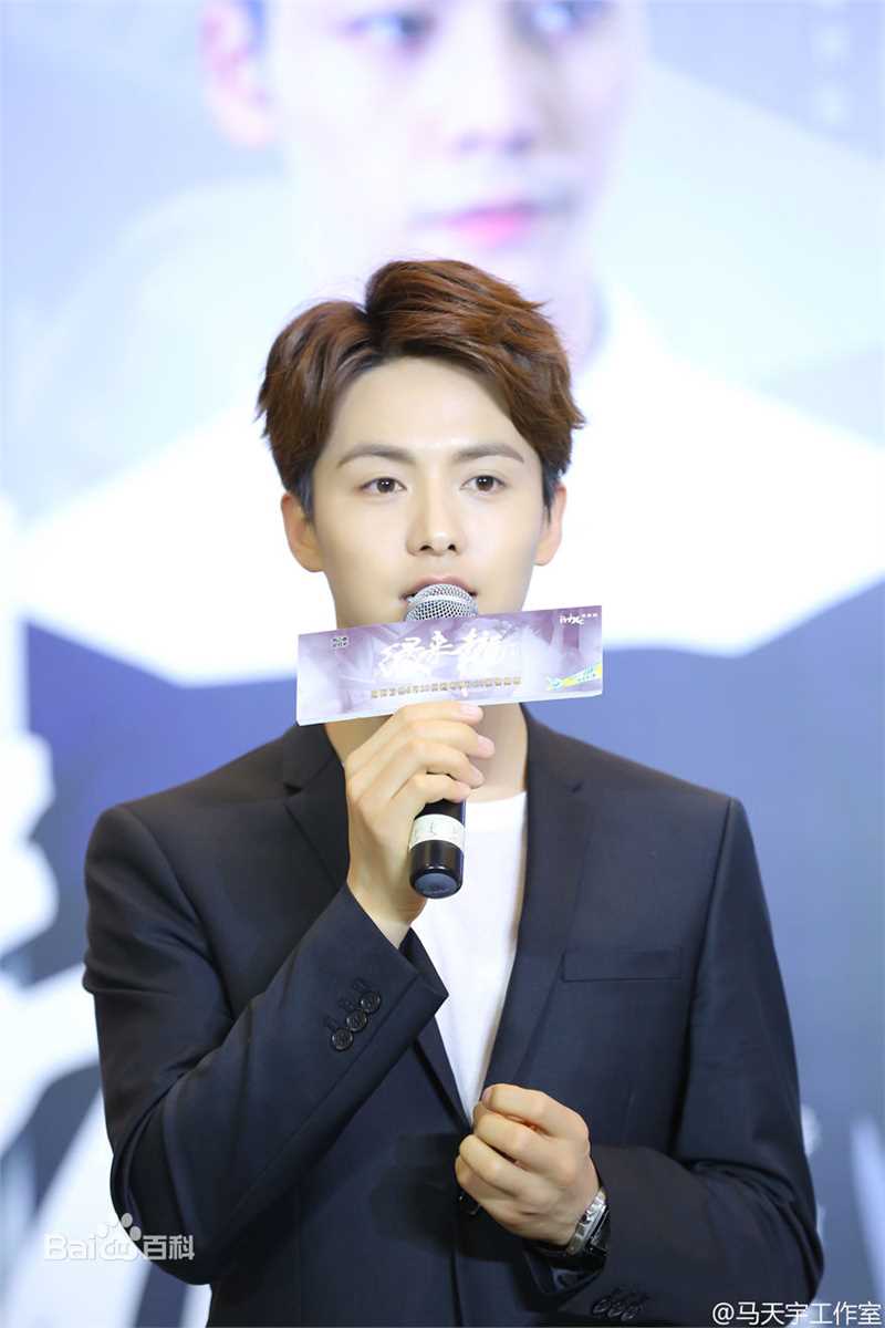 马天宇(Ray Ma)出席活动图册