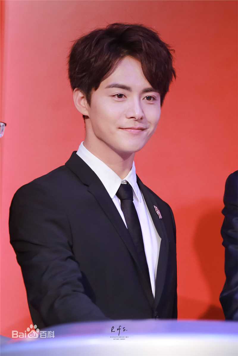 马天宇(Ray Ma)出席活动图册