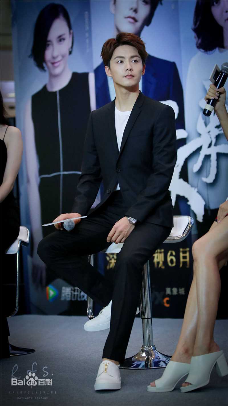 马天宇(Ray Ma)出席活动图册