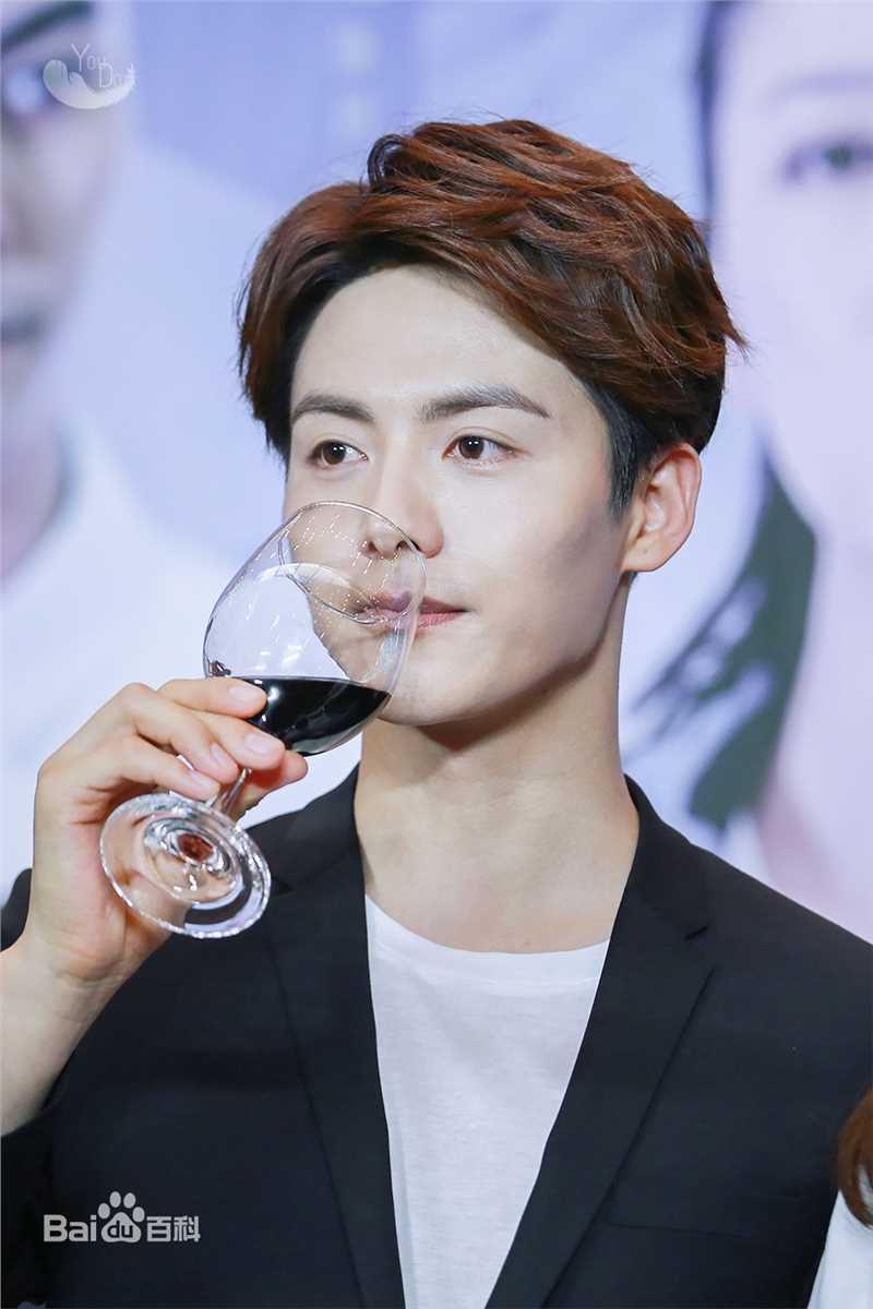 马天宇(Ray Ma)出席活动图册