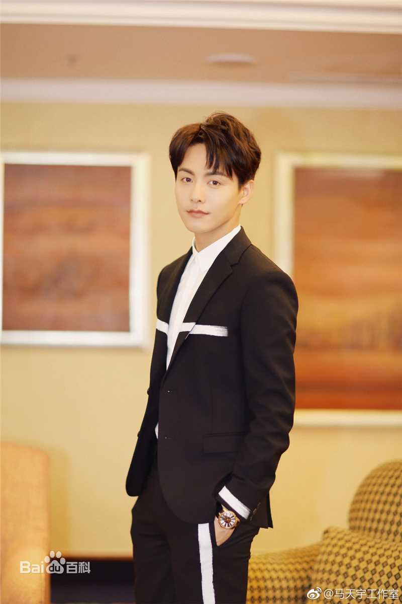 马天宇(Ray Ma)出席活动2生活照