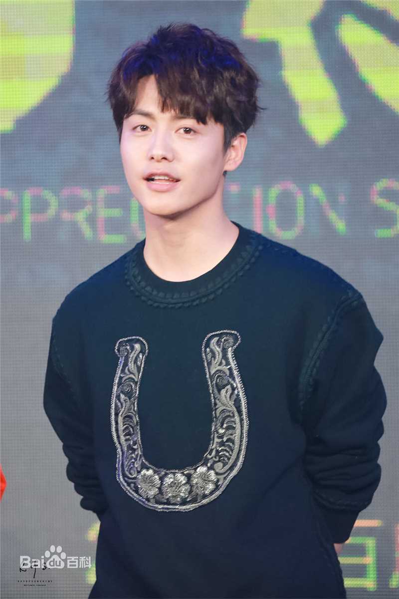 马天宇(Ray Ma)出席活动2生活照