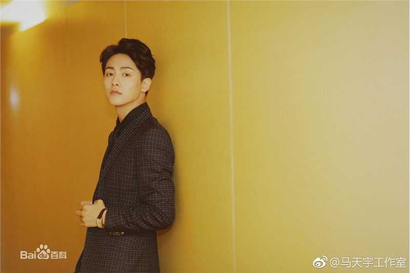 马天宇(Ray Ma)出席活动2生活照