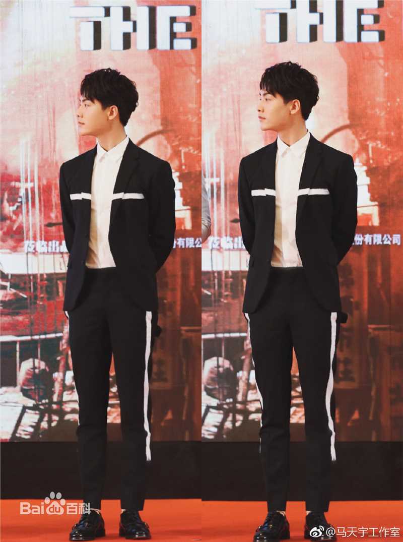 马天宇(Ray Ma)出席活动2生活照