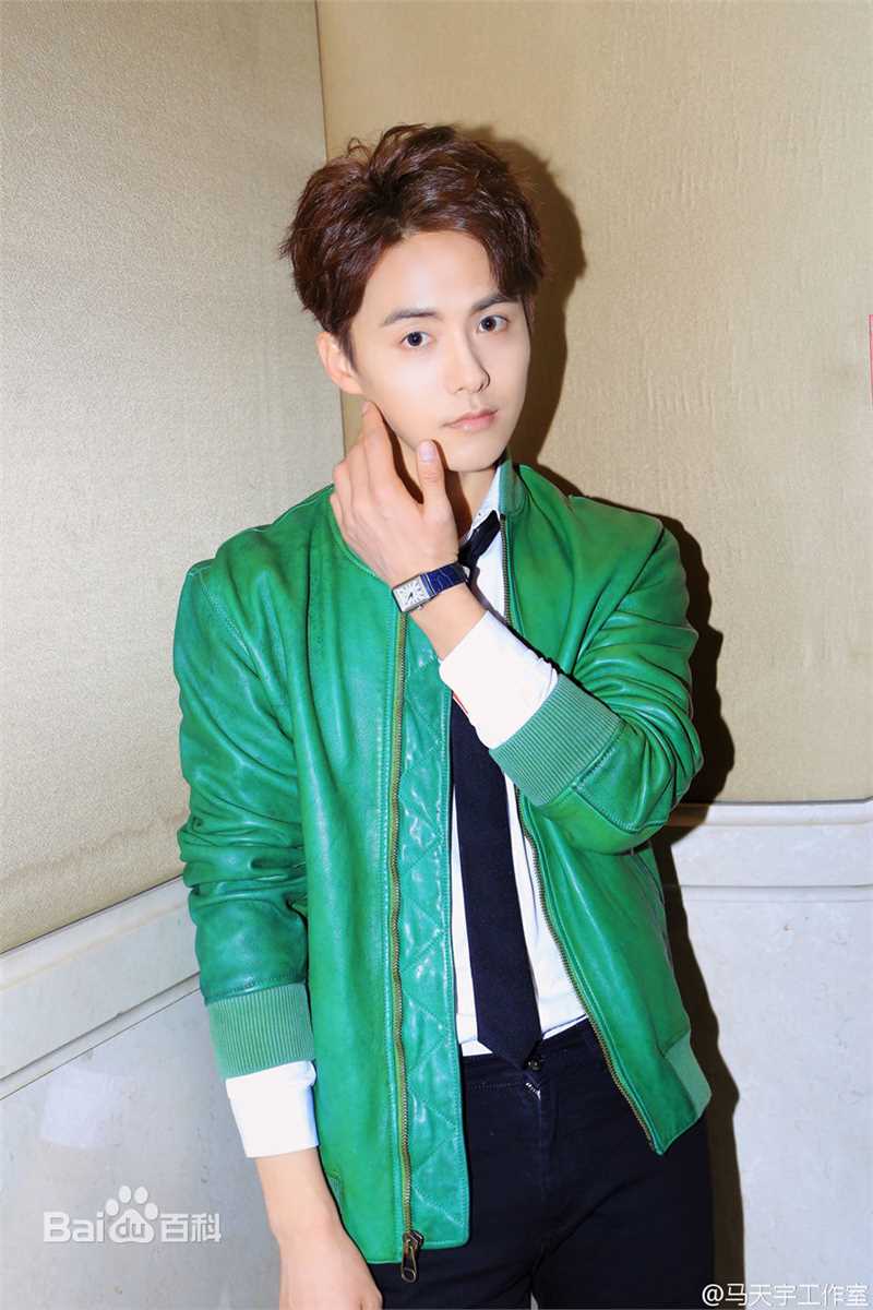 马天宇(Ray Ma)出席活动2生活照