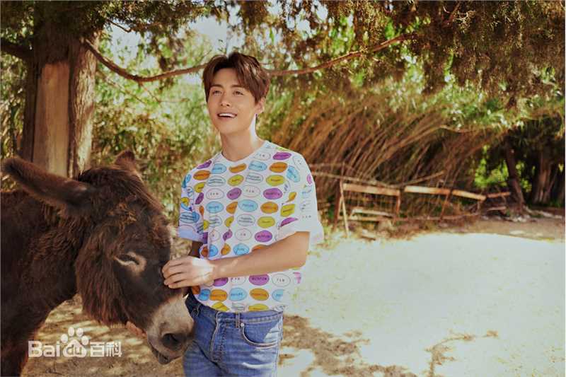 马天宇(Ray Ma)最全杂志相册