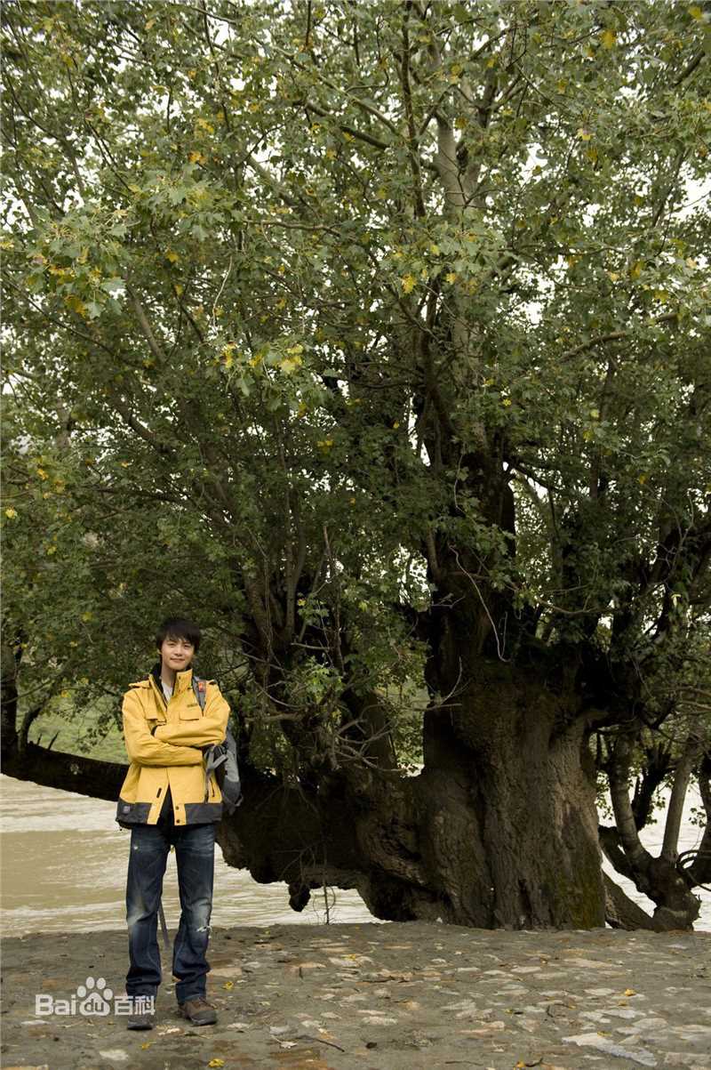 最新马天宇(Ray Ma)在《印··西区》中的壁纸