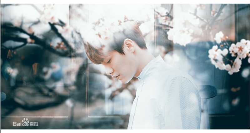 马天宇(Ray Ma)美图图册