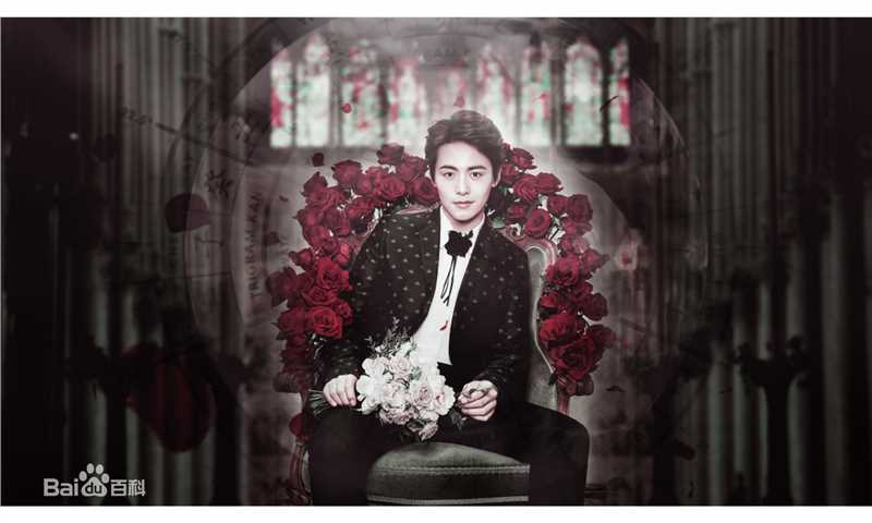 马天宇(Ray Ma)美图图册