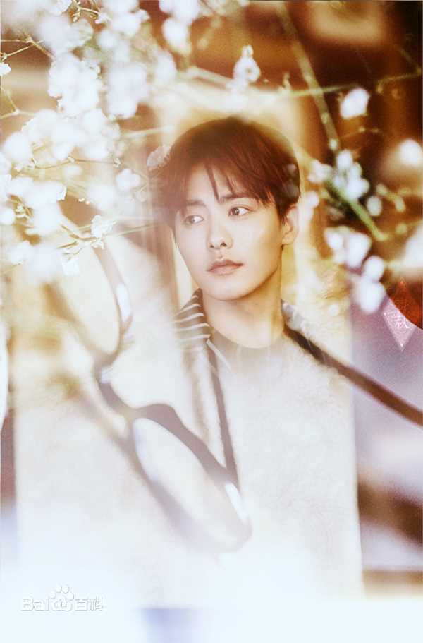 马天宇(Ray Ma)美图图册