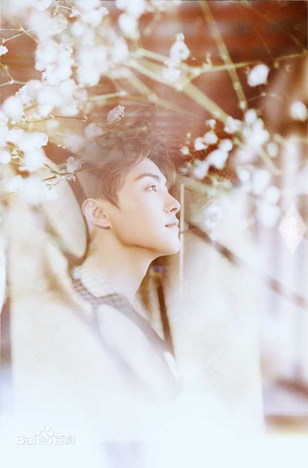 马天宇(Ray Ma)美图图册