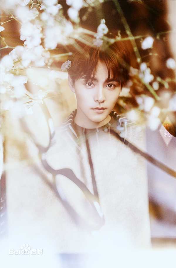 马天宇(Ray Ma)美图图册