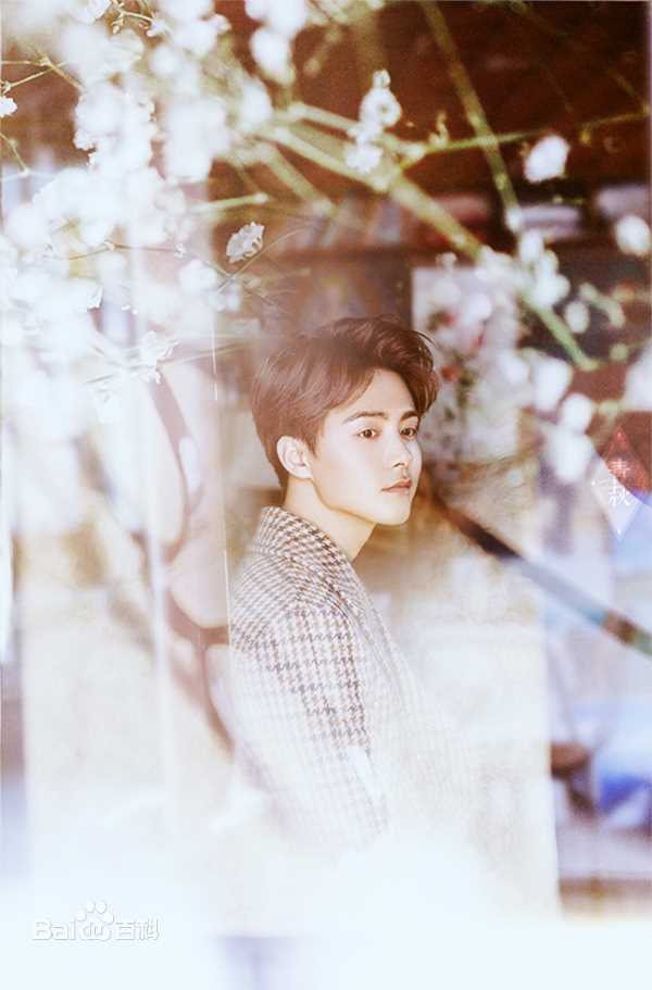 马天宇(Ray Ma)美图图册