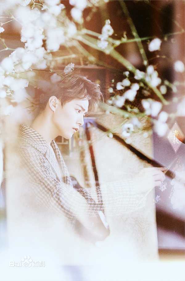 马天宇(Ray Ma)美图图册