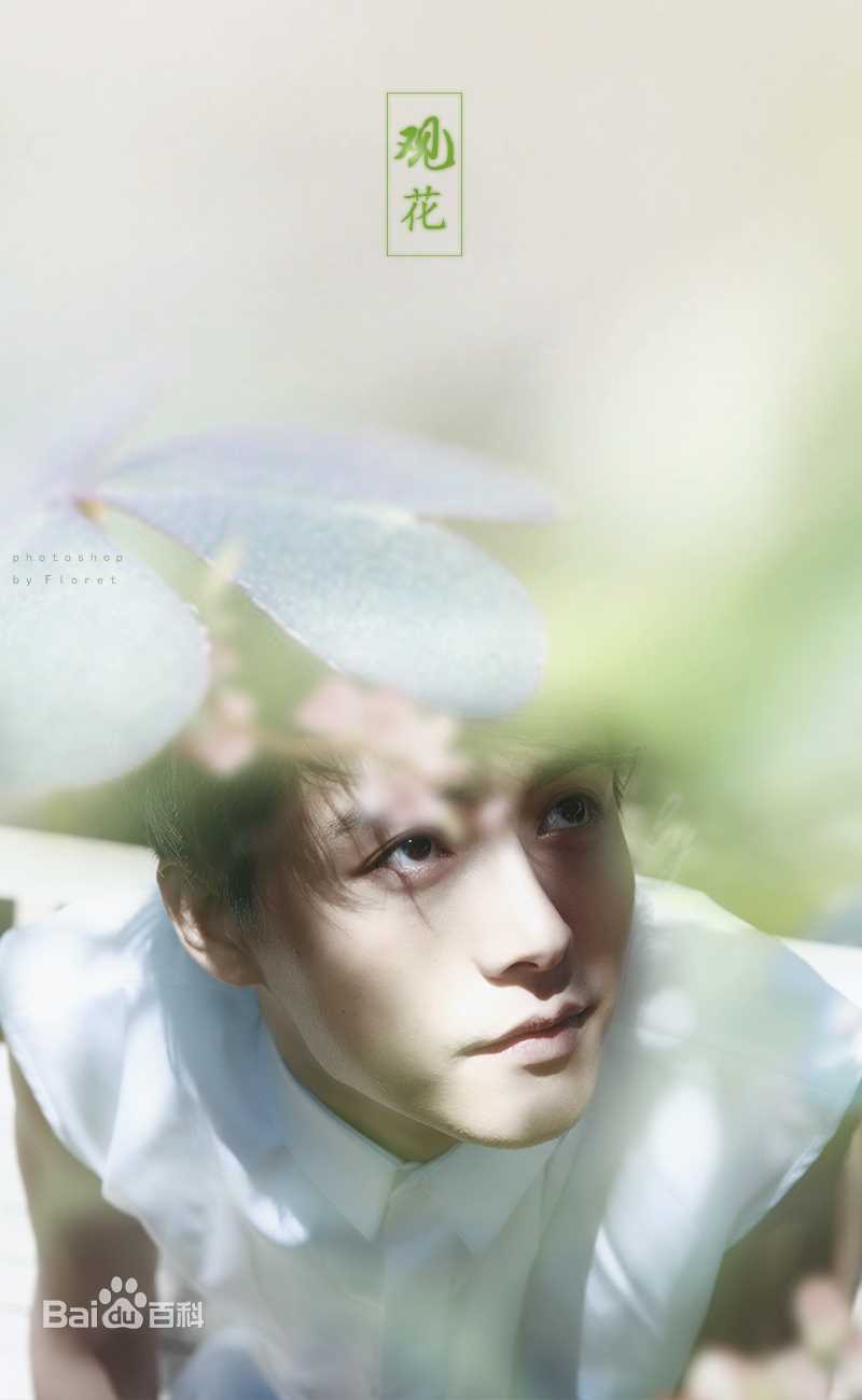 马天宇(Ray Ma)美图图册