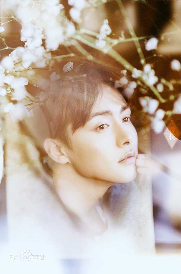 马天宇(Ray Ma)美图图册