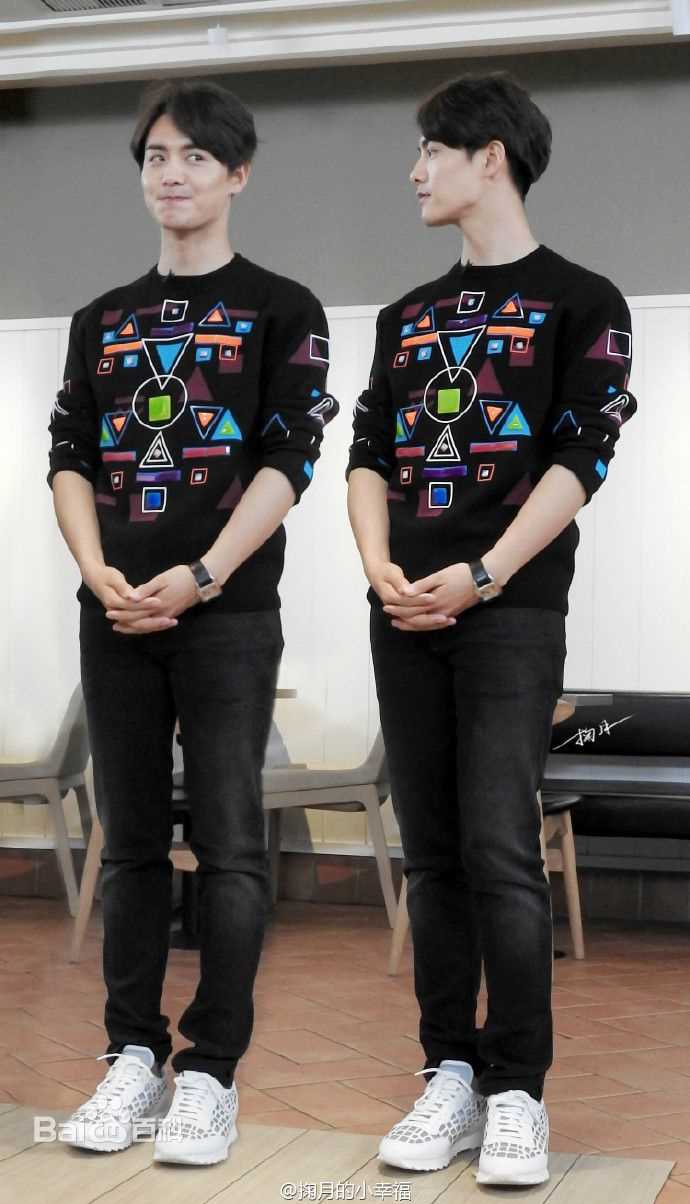 马天宇(Ray Ma)水仙图图册