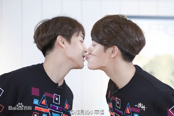 马天宇(Ray Ma)水仙图图册