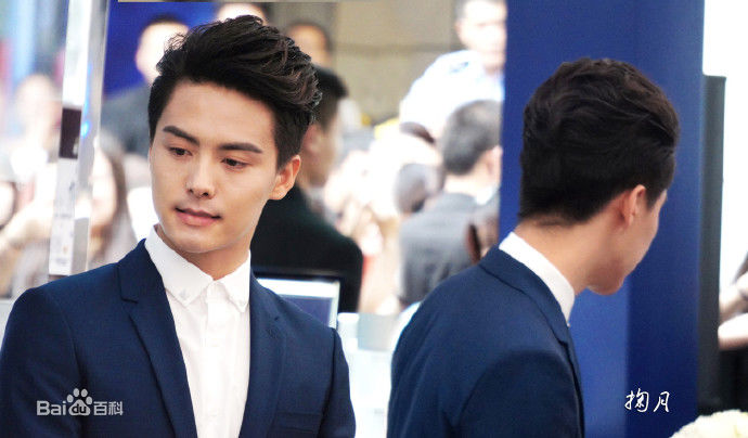 马天宇(Ray Ma)水仙图图册