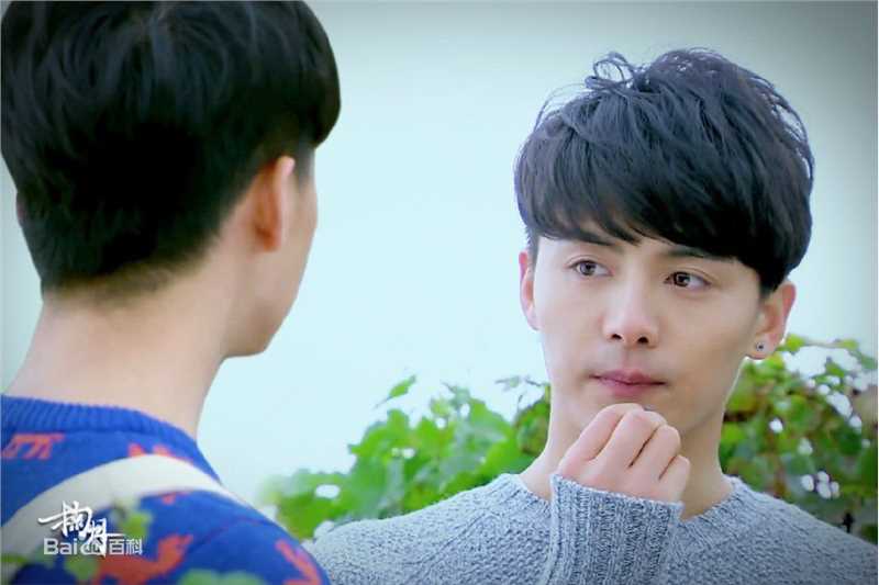 马天宇(Ray Ma)水仙图图册