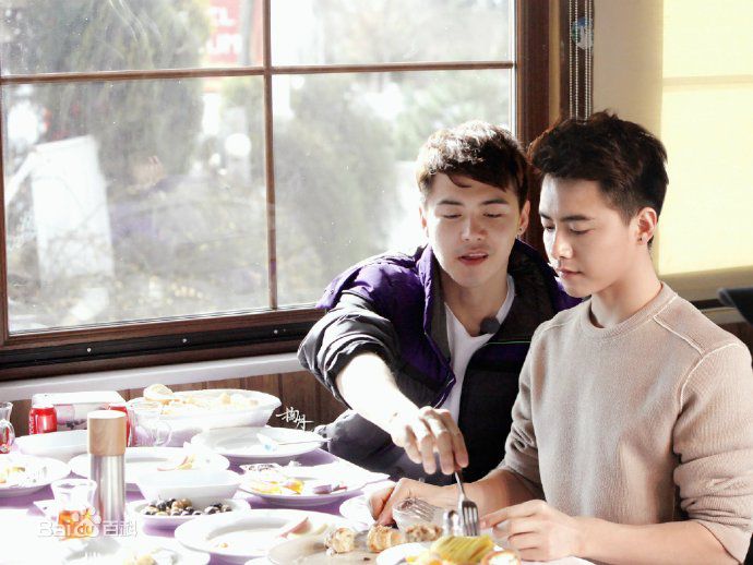 马天宇(Ray Ma)水仙图图册