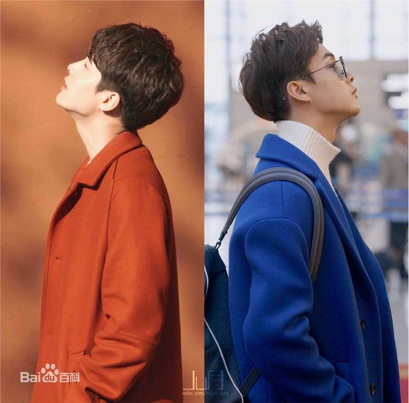 马天宇(Ray Ma)水仙图图册