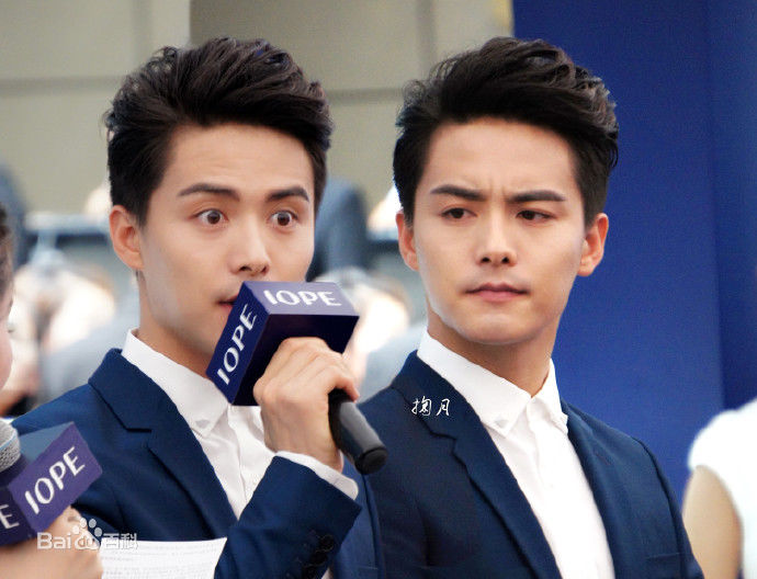 马天宇(Ray Ma)水仙图图册