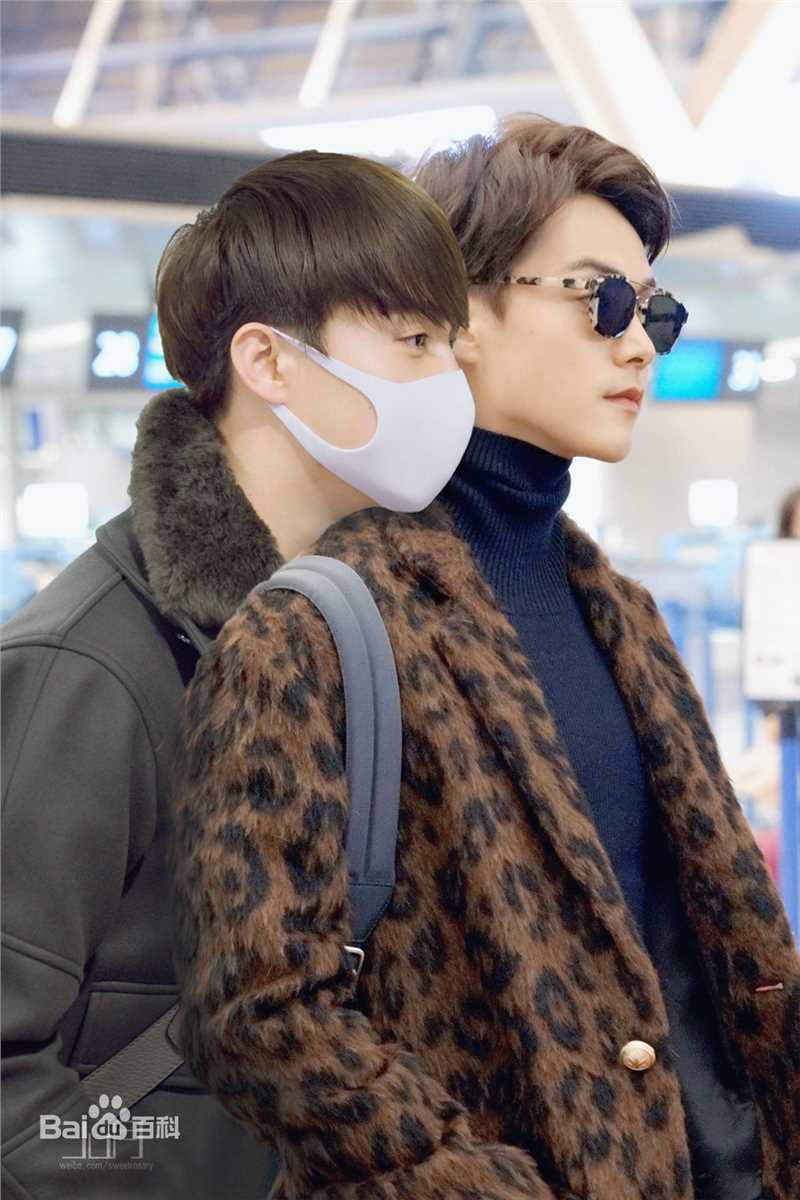 马天宇(Ray Ma)水仙图图册