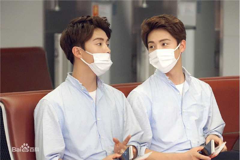 马天宇(Ray Ma)水仙图图册