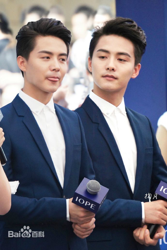 马天宇(Ray Ma)水仙图图册