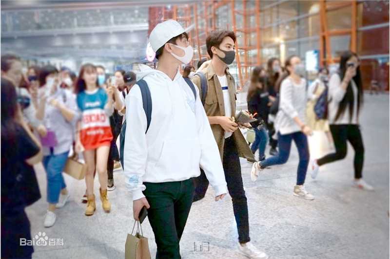 马天宇(Ray Ma)水仙图图册