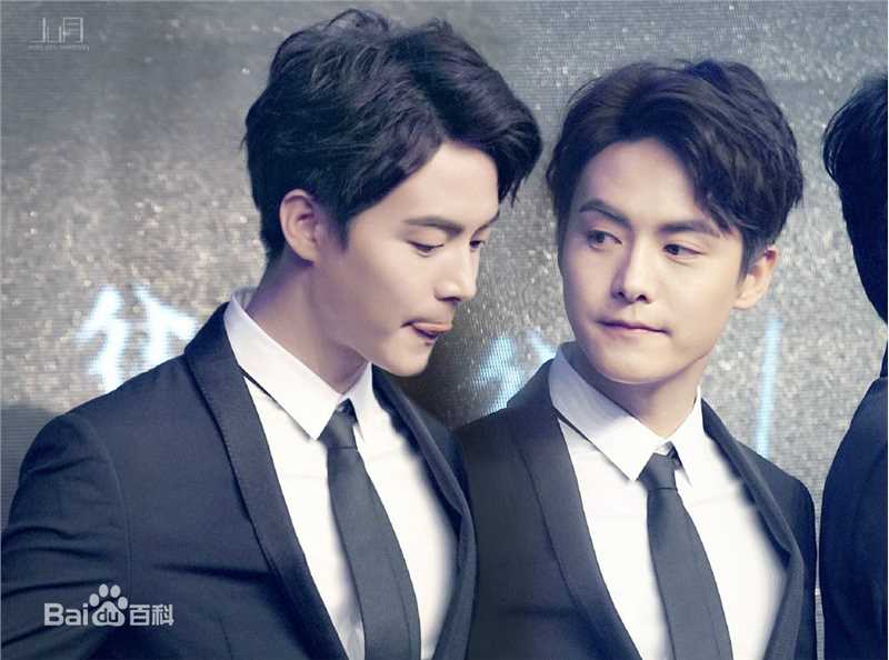 马天宇(Ray Ma)水仙图图册