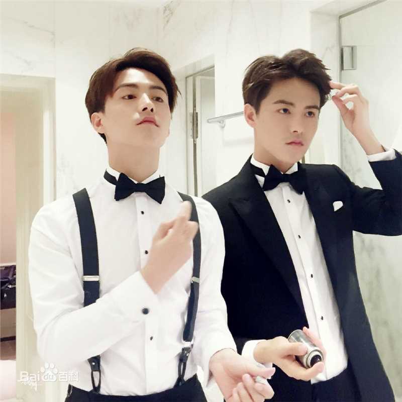 马天宇(Ray Ma)水仙图图册