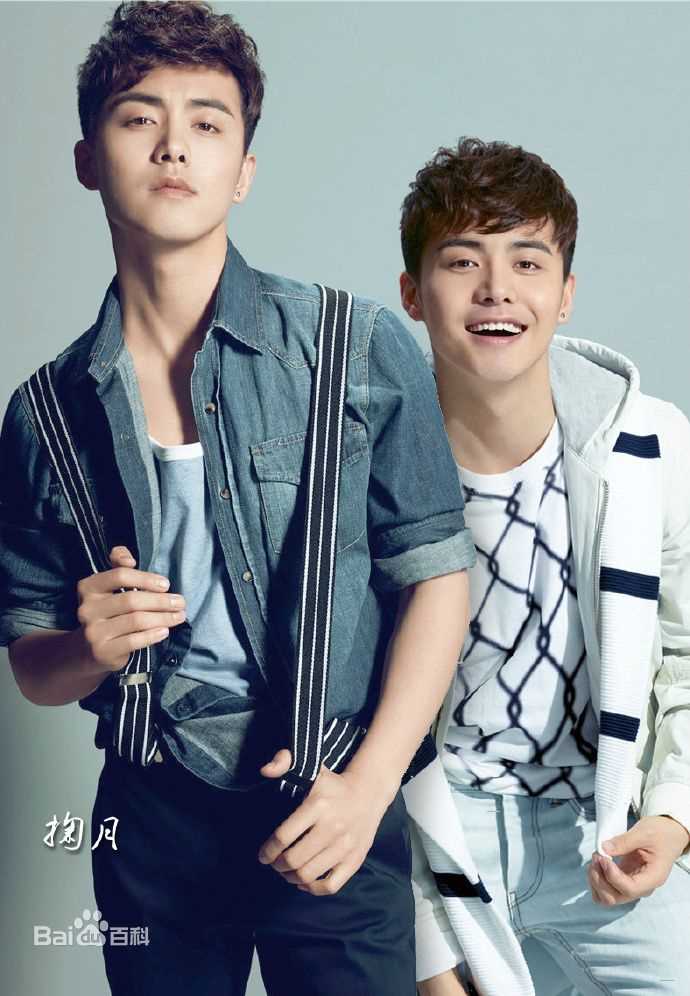 马天宇(Ray Ma)水仙图图册