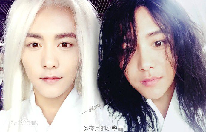 马天宇(Ray Ma)水仙图图册