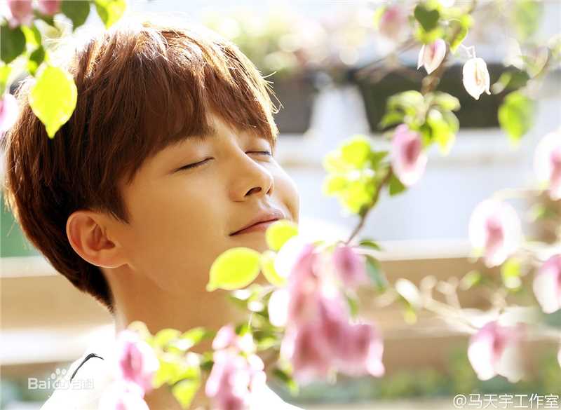 最新马天宇(Ray Ma)在EP《手花》中的图集