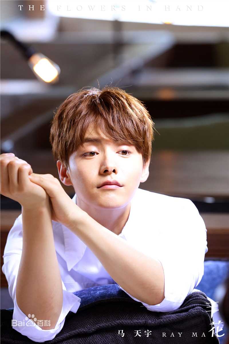 最新马天宇(Ray Ma)在EP《手花》中的图集