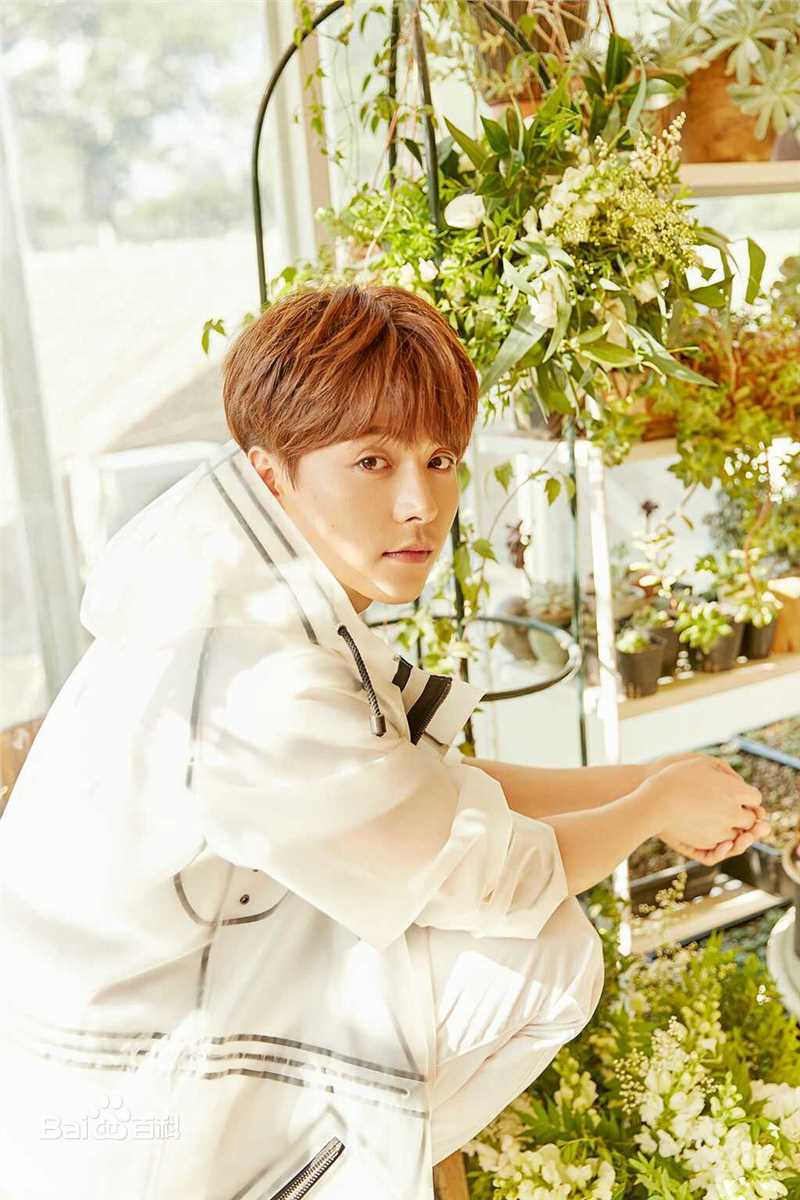 最新马天宇(Ray Ma)在EP《手花》中的图集