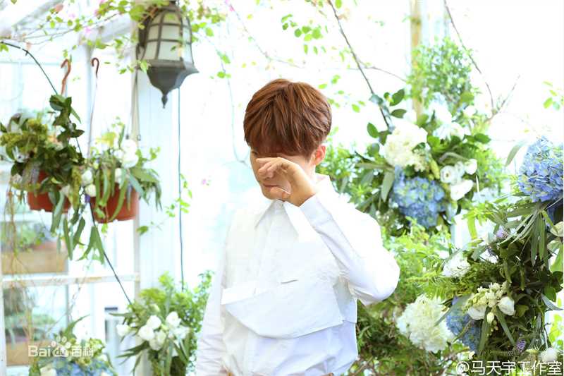 最新马天宇(Ray Ma)在EP《手花》中的图集