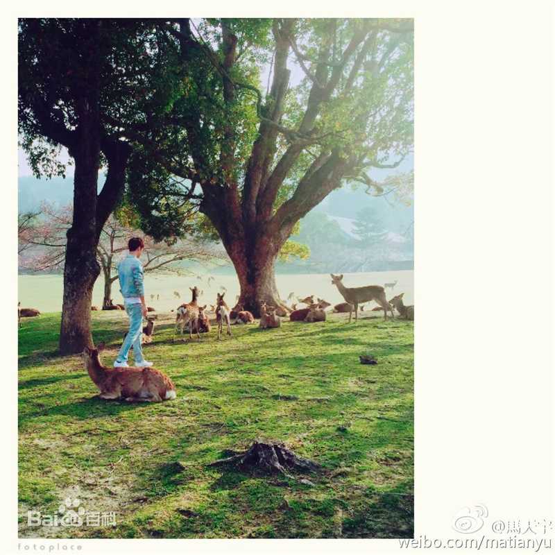 马天宇(Ray Ma)其他性感图片图集